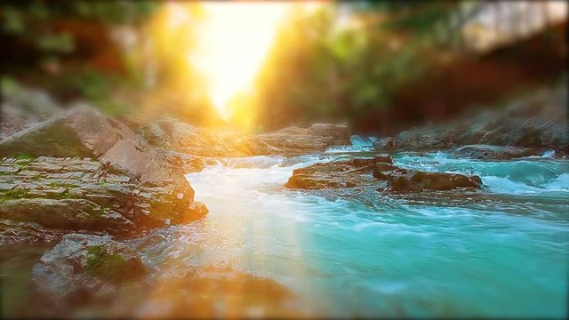 mountain stream in the forest