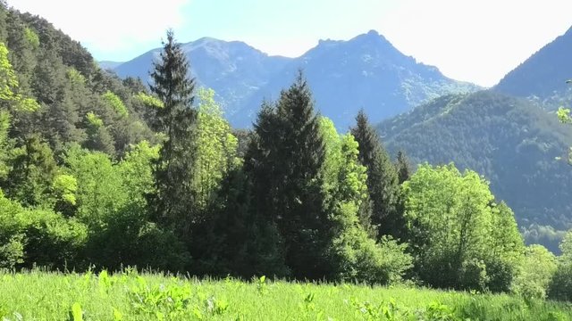 suoni colori della primavera prealpina
