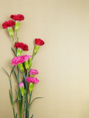 Bunch of red and pink carnations with pink ribbon on brown wooden background. Mother's Day background.