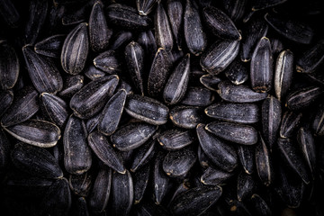 Top view of black sunflower seeds. Organic natural food background. Sunflower seeds are siutable for microgreens sprout