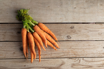 carrots on a wooden background