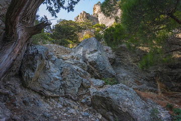 Huge stones and tree roots are in front. High mountains can be seen behind.