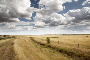beautiful farmland in essex england