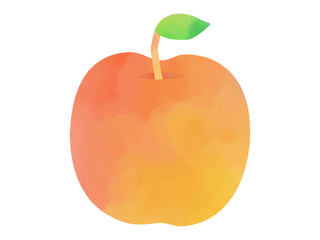 リンゴの水彩イラスト