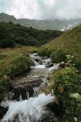 Naklejka na ściany i meble Mountain stream in the alpine valley