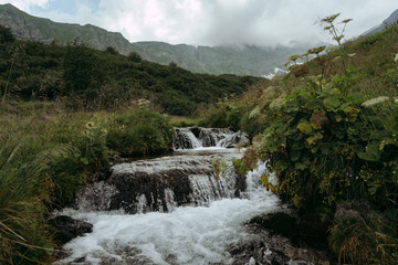 Fototapeta na wymiar Mountain stream in the alpine valley