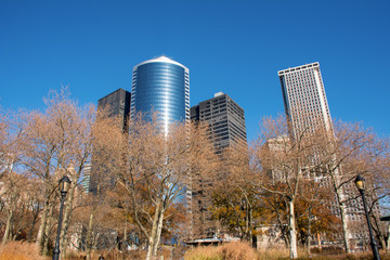 Obraz premium modern buildings in the city