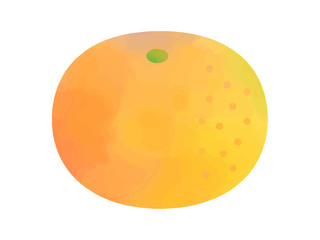 ミカンの水彩イラスト