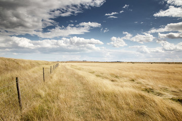 beautiful farmland in essex england