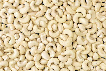 Cashews nut background