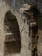 Historic Arab bridge in the city of Guadalajara on the Henares River. Detail of smaller shoe horse...