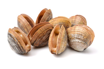 Stacked fresh raw clams on white background