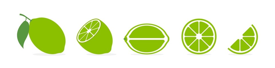 Lime slice vector citrus. Isolated citrus set of slices. Vector isolated illustration.