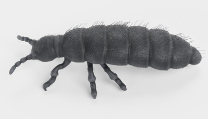 Realistic 3D Render of Snow Flea