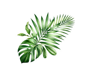 Aquarell tropischer Blumenstrauß. Arrangement mit Dschungelgrün. Exotische Palmblätter, Monstera, isoliert auf weiss. Botanische handgezeichnete Illustration