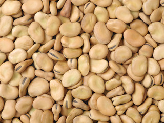 Pile of broad beans, background