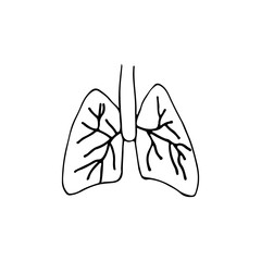 Doodle lungs icon in vector. Hand drawn lungs icon. Medical icon. 