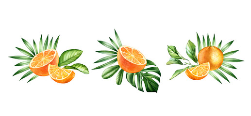 Fototapeta na wymiar Watercolor orange fruits. Set with three arrangements. Tropical bouquets with fruits and palm leaves. Botanical hand drawn illustration isolated on white