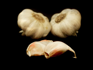 Garlic