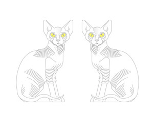 Sphynx cat isolated. hairless cat breeds. Pet vector illustration
