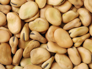 Pile of broad beans, background