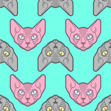 Sphynx cat pattern seamless. Pet background. Home animal texture. vector ornament