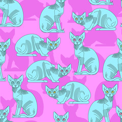 Sphynx cat pattern seamless. Pet background. Home animal texture. vector ornament