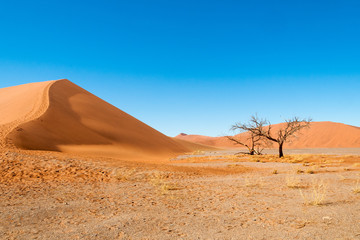 Die riesigen Sandd&uuml;nden der W&uuml;ste Namib