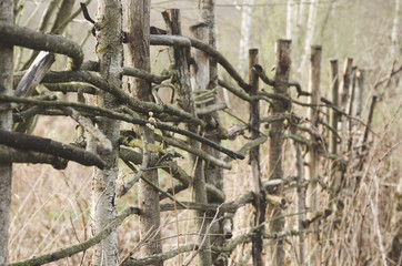 Vintage photo of old wooden wicker handmade fence of branches.
