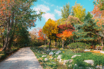 walkway in the autumn park