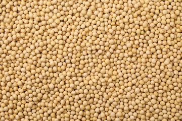 Soybean background
