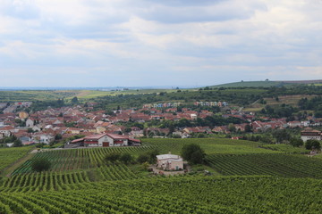 aerial view of a vineyard village