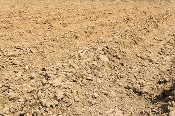 soil in the ground