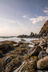 On the beach of Marloes Sands beach, with rock pools, sea weed, the sea and cliffs in the distance, South Wales