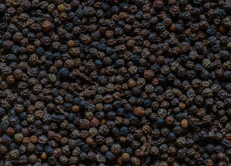 black currant background