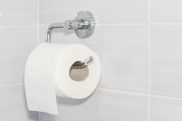 Close-up of a white roll of soft toilet paper neatly hanging on a modern chrome holder on a light bathroom