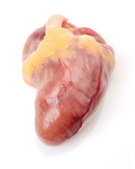 Chicken Hearts on white background