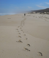 Footprints in the sand of man walking along beach