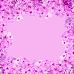 Pink flowers frame on the pink background.