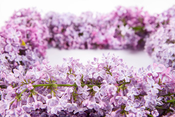 Obraz na płótnie Canvas Garland of Lilac flowers on a white background with text space in the middle