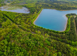 Summer forest lake with green forests panorama trees