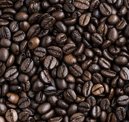 Natural roasted coffee beans