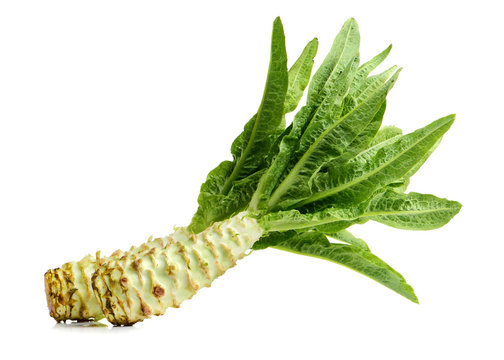 Asparagus lettuce on white background