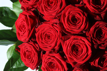 Rote Rosen