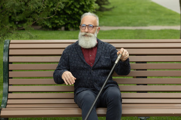 Bearded senior man outdoors. Elderly man in casual sitting on the bench in sunny park.