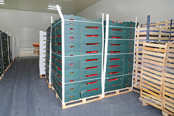 Pallets with Boxes Produce Storage