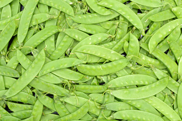 green pea  background.