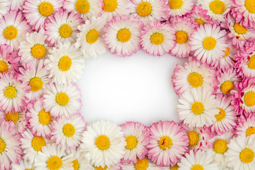 Fototapeta na wymiar Flat lay frame border made of daisy flowers