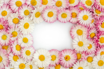 Flat lay frame border made of daisy flowers