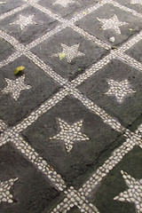 Path in the garden with small stones star pattern